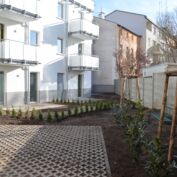 12.03.2019 Baustand Gützkower Straße 64 Garten