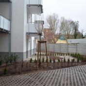 12.03.2019 Baustand Gützkower Straße 64 Garten