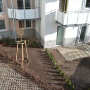 12.03.2019 Baustand Gützkower Straße 64 Garten